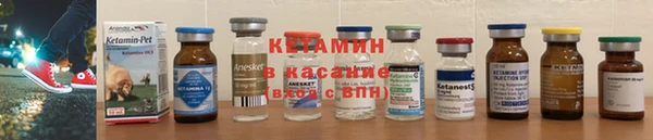 кокс Арсеньев