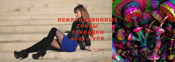 кокс Арсеньев