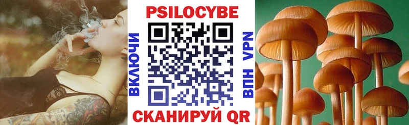 сколько стоит  Рыбинск  Галлюциногенные грибы мицелий 