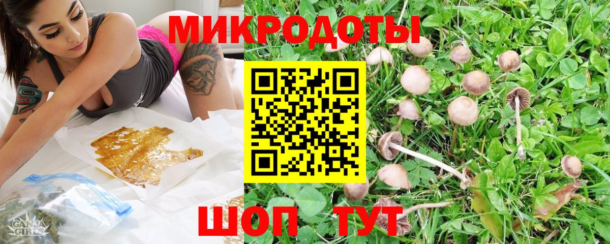 Псилоцибиновые грибы прущие грибы  Псилоцибиновые грибы мицелий  Рыбинск  Вход с VPN 