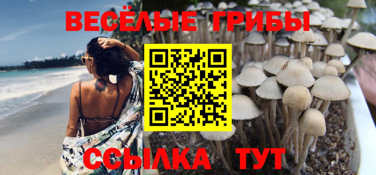Псилоцибиновые грибы ЛСД Рыбинск